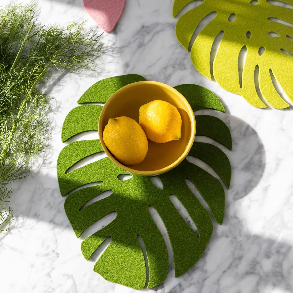 Shaped Wool Felt Trivets