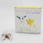Daffodil Goat Milk Caramel Box: All 8 Flavors