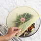 Lilypad Lid
