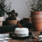 Farm + Sea Sugar Scrub