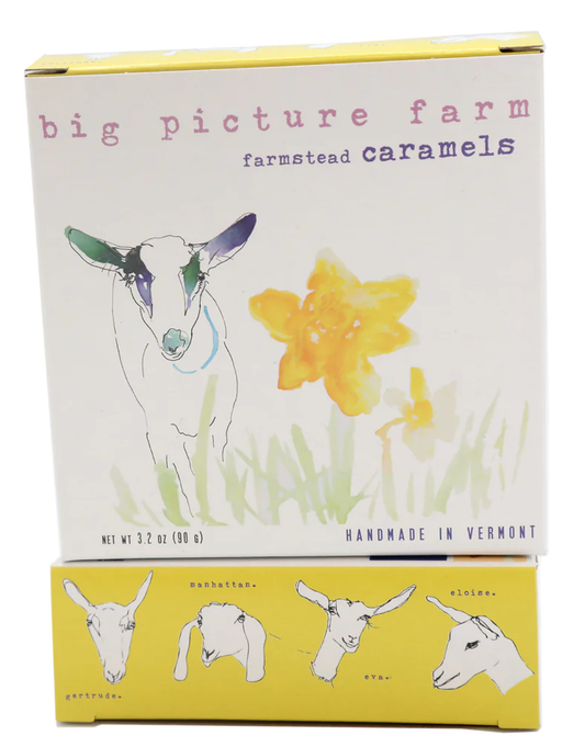 Daffodil Goat Milk Caramel Box: All 8 Flavors